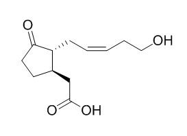 12-Hydroxyjasmonic acid