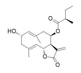 2alpha-Hydroxy-8beta-(2-methylbutyryloxy)costunolide
