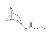 3-Butyryloxytropane