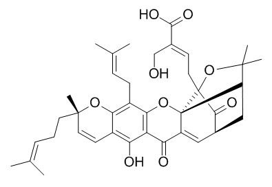 30-Hydroxygambogic acid