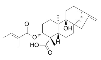 3Alaph-Tigloyloxypterokaurene L3