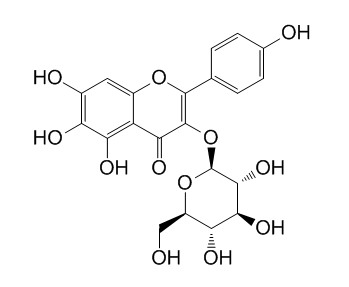 6-Hydroxykaempferol 3-O-beta-D-glucoside