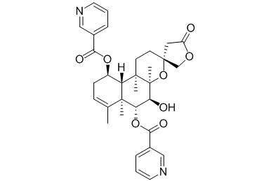 6-O-Nicotinoylscutebarbatine G