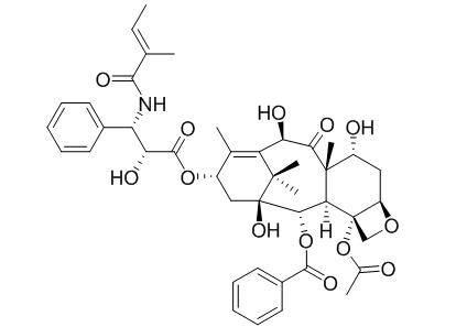 7-Epi-10-deacetylcephalomannine