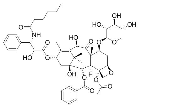 7-Xylosyl-10-deacetyltaxol C