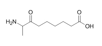 8-Amino-7-oxononanoic acid