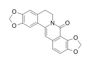 8-Oxycoptisine