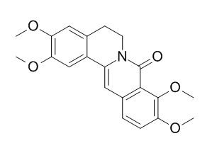 8-Oxypalmatine