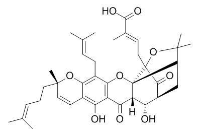10alpha-Hydroxyepigambogic acid