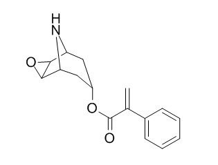 Aponorhyoscine