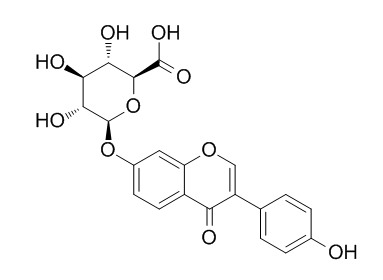 Daidzein 7-O-glucuronide
