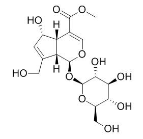 Deacetylasperulosidic acid methyl ester