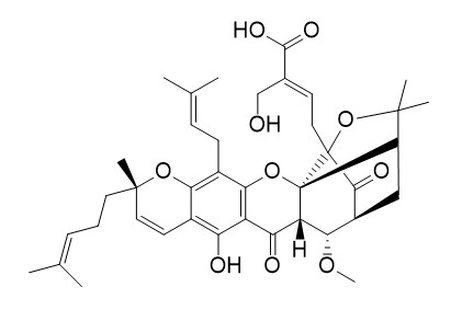 Gambogic acid A