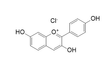 Guibourtinidin chloride
