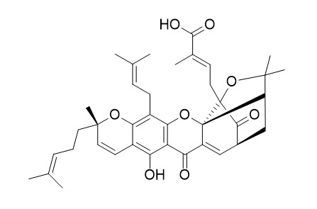 Epigambogic acid