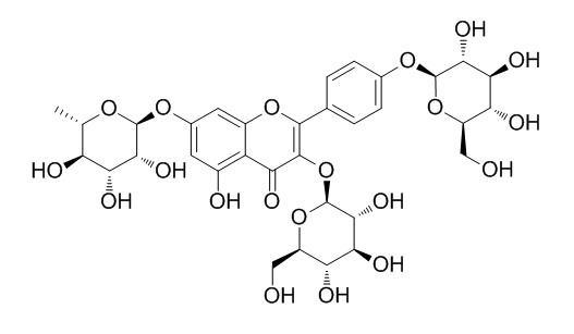 Kaempferol 3,4-diglucoside 7-rhamnoside