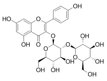 Kaempferol 3-O-beta-sophoroside