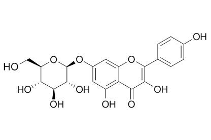 Kaempferol-7-O-D-glucopyranoside