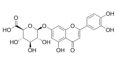 Luteolin-7-O-glucuronide