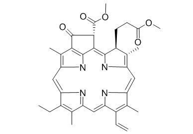 Methylpheophorbide A