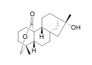 Neotripterifordin