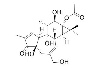 Phorbol 13-acetate
