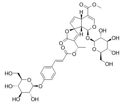 Protoplumericin A