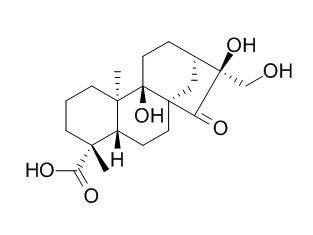 Pterisolic acid F