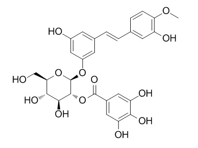 Rhaponticin 2-O-gallate