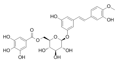 Rhaponticin 6-O-gallate