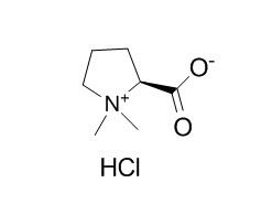 Stachydrine hydrochloride