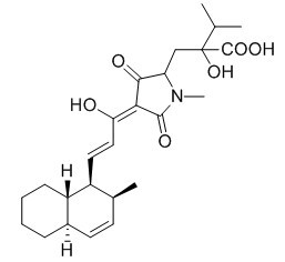 Zopfiellamide A