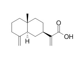 beta-Costic acid