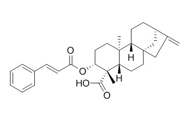 ent-3beta-Cinnamoyloxykaur-16-en-19-oic acid