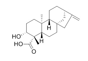 ent-3beta-Hydroxykaur-16-en-19-oic acid