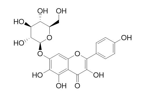 6-Hydroxykaempferol 7-glucoside