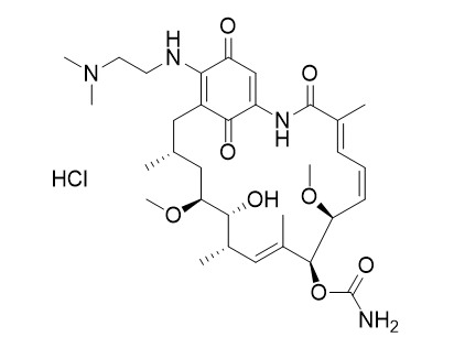 Alvespimycin (17-DMAG) HCl