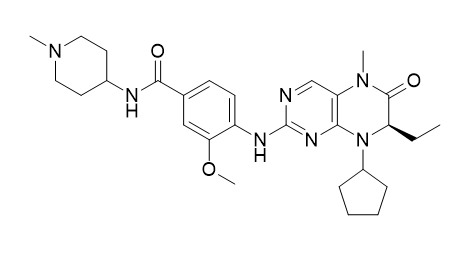 BI 2536