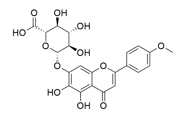 Clerodendroside (Scutellarein 4-methyl ether 7-glucuronide)