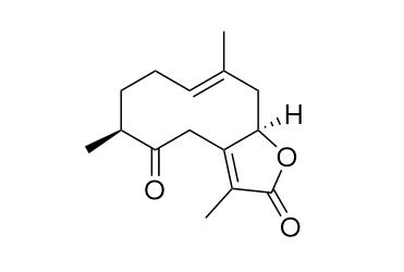 Curdionolide B