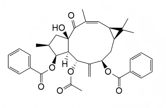 Euphorbia factor L11