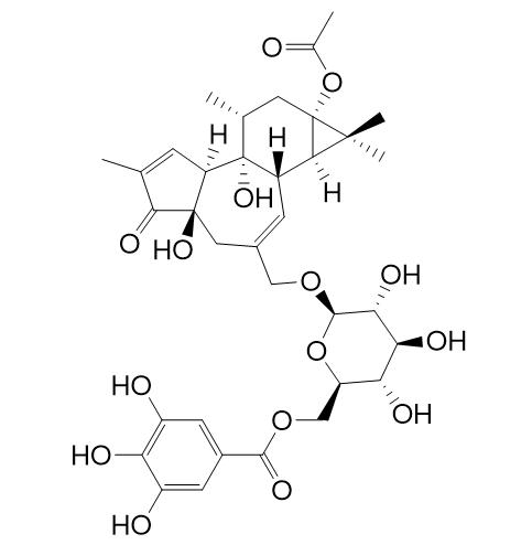 Fischeroside B