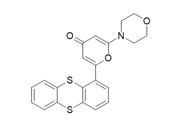 KU55933 (ATM Kinase Inhibitor)