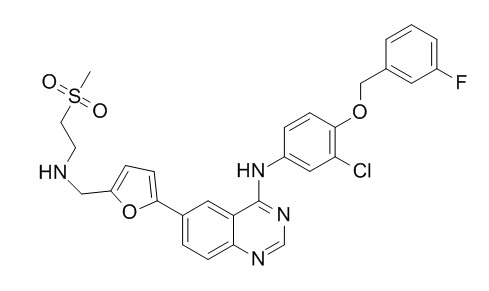 Lapatinib (GW572016)