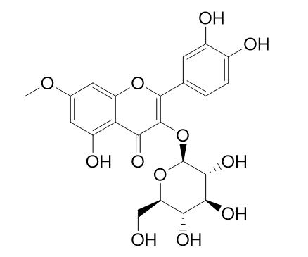 Rhamnetin 3-glucoside