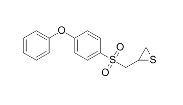 SB-3CT