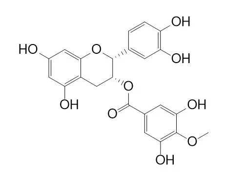 Epicatechin 3-O-(4-O-methylgallate)